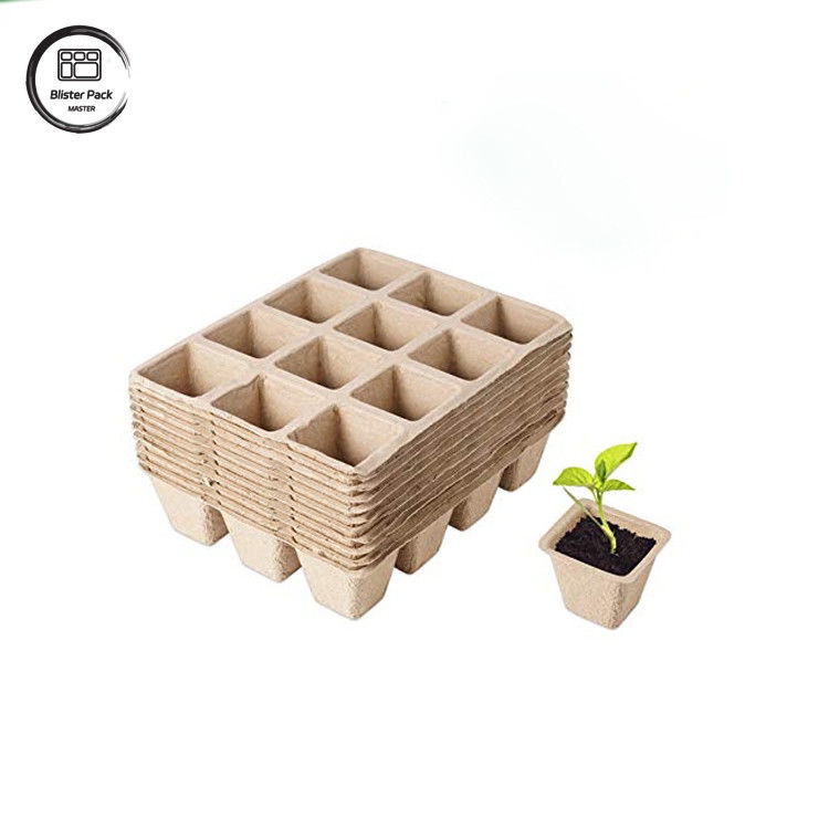 کیت ابتدایی برای کاشت دانه ها