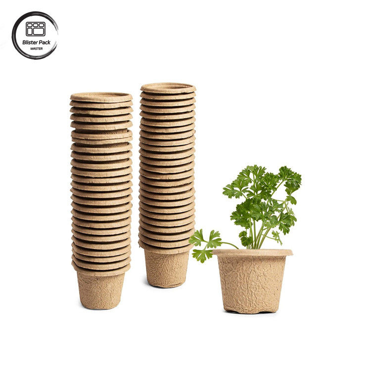 کیت ابتدایی برای کاشت دانه ها