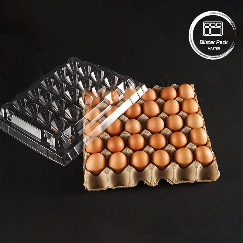 بسته بندی ظرف تخم مرغ پلاستیکی PET 30 سوراخ کارتن در اندازه S / M / L با کف کاغذی