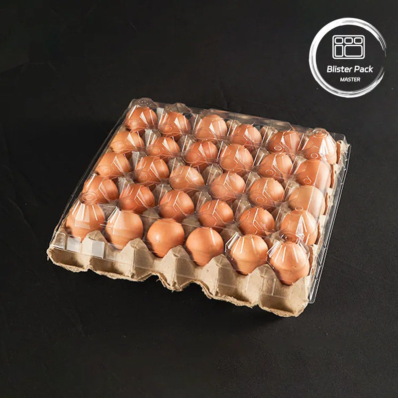 20/24/30 Cell PET Clear Plastic Egg Blister Tray بسته بندی تخم مرغ کویل با پوشش