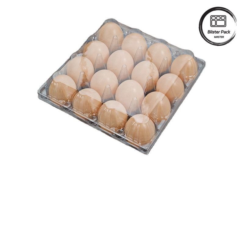 20/24/30 Cell PET Clear Plastic Egg Blister Tray بسته بندی تخم مرغ کویل با پوشش
